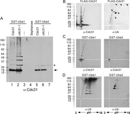 FIG. 6.