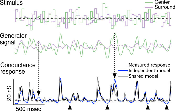 Figure 4—figure supplement 1.