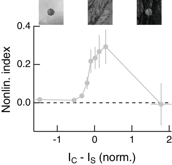 Figure 8—figure supplement 1.