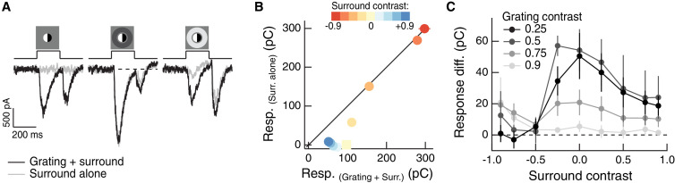 Figure 3—figure supplement 1.