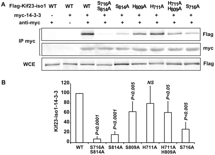 Fig 5