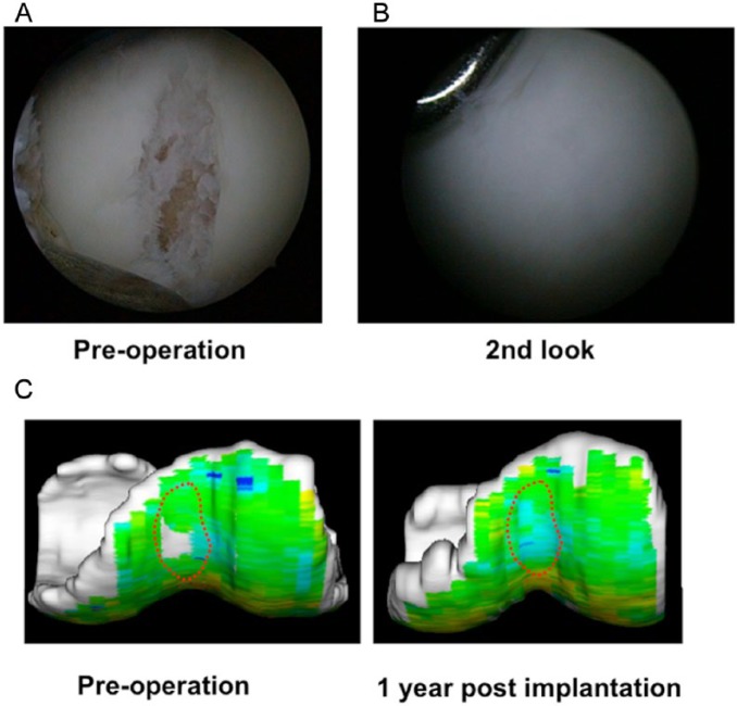 Figure 10.