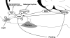 Fig. 7.