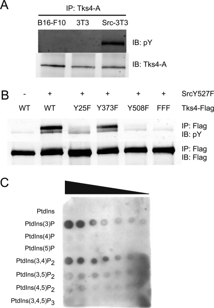 Figure 3.