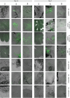 FIG 4