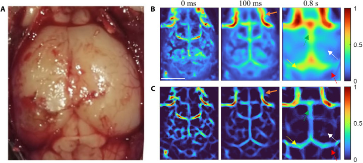 Fig. 4.