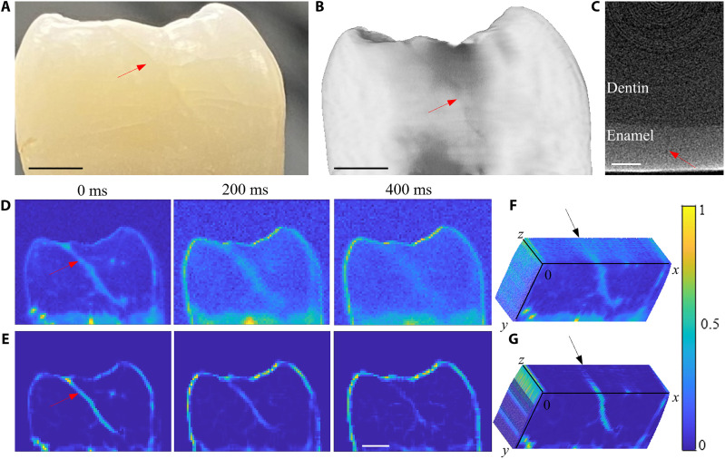 Fig. 2.