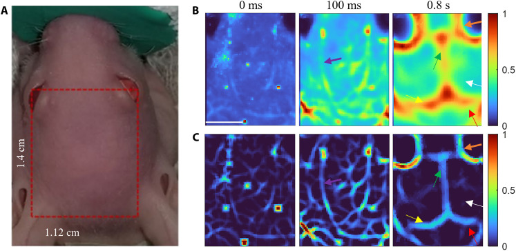 Fig. 3.