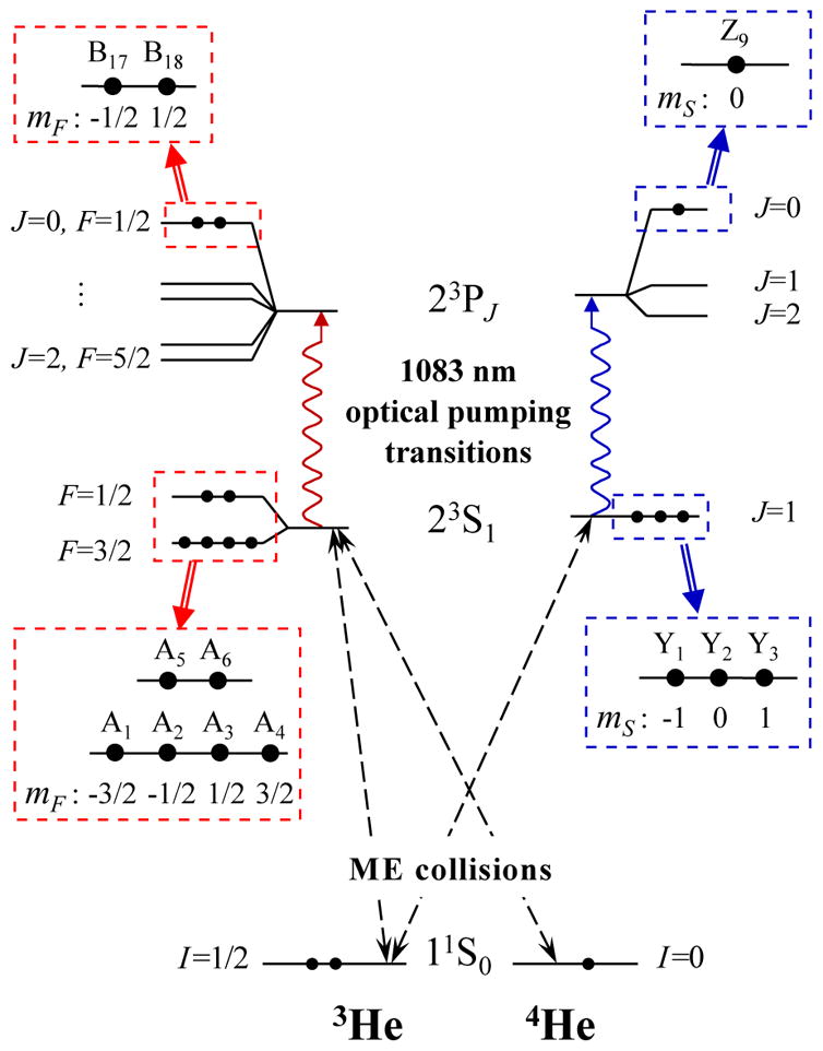 FIG. 12