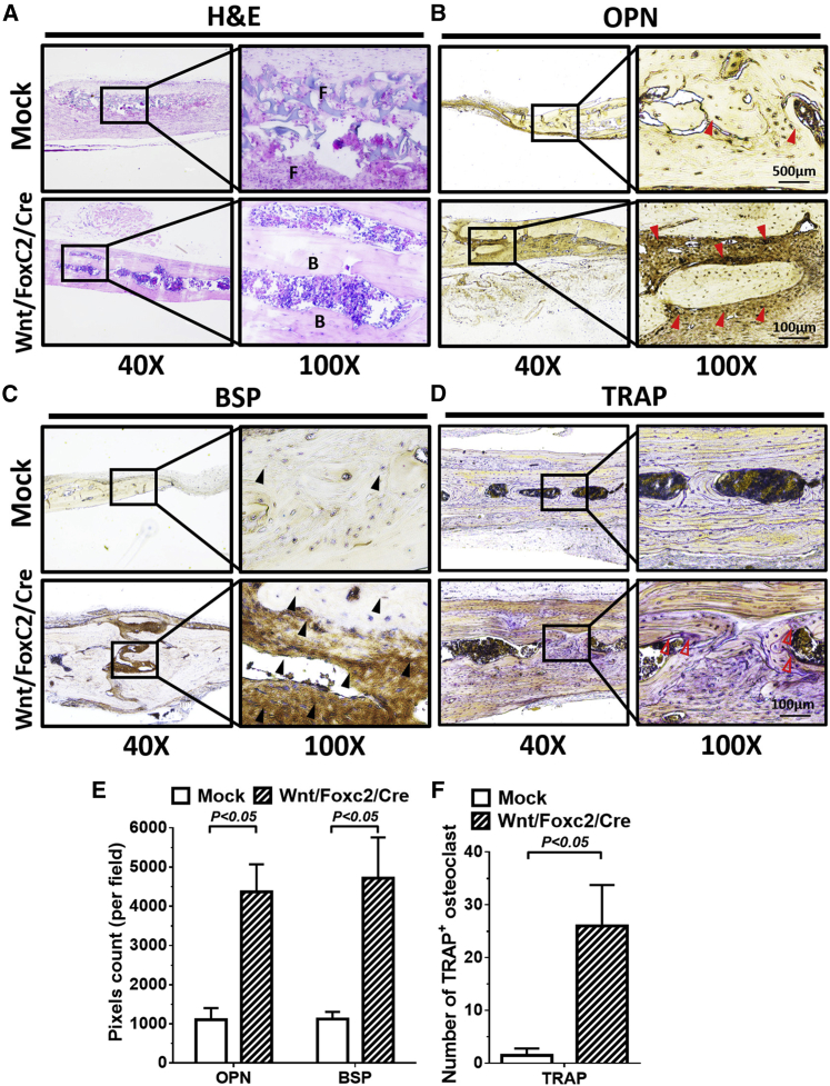 Figure 6