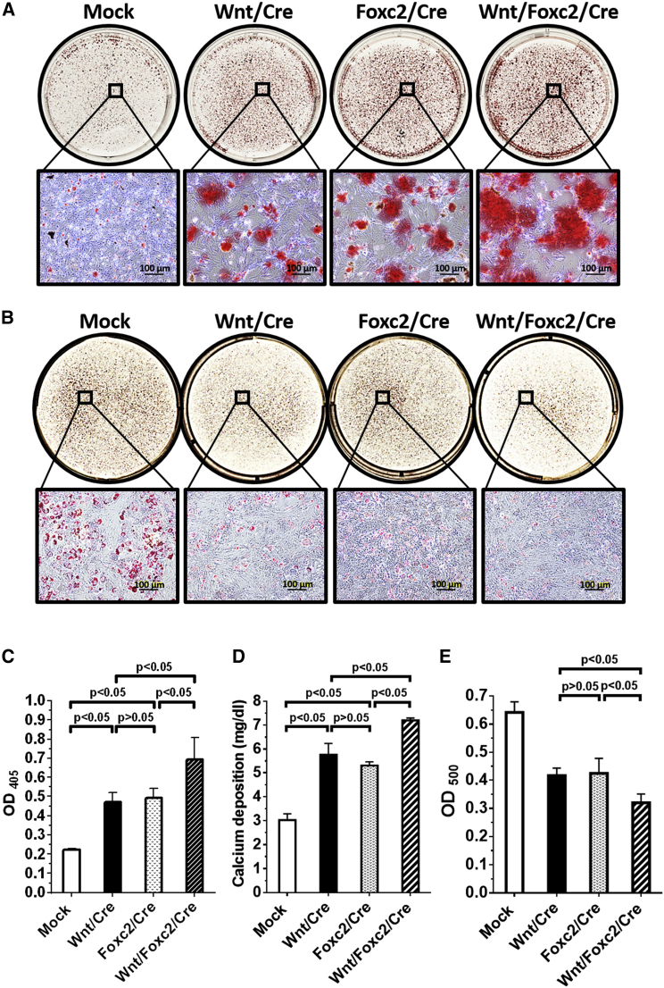 Figure 3