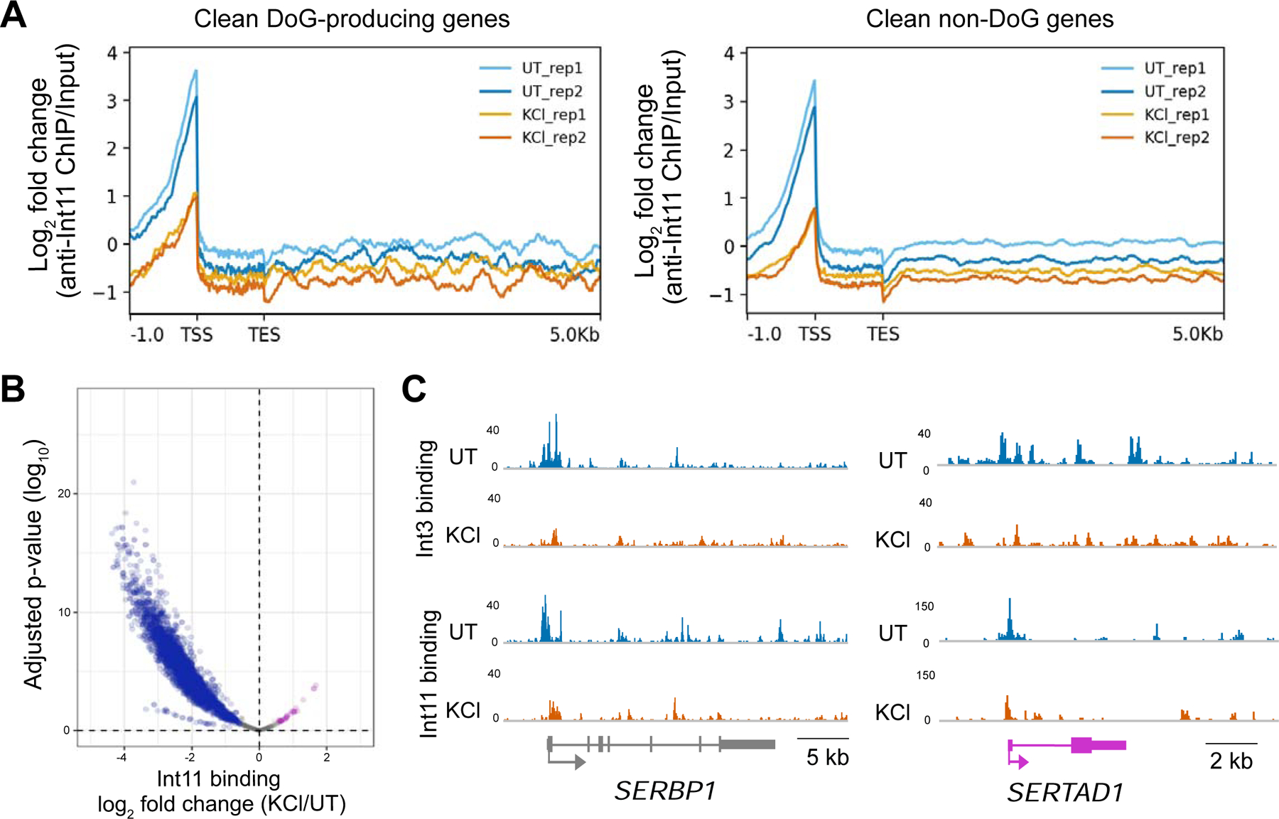 Figure 6: