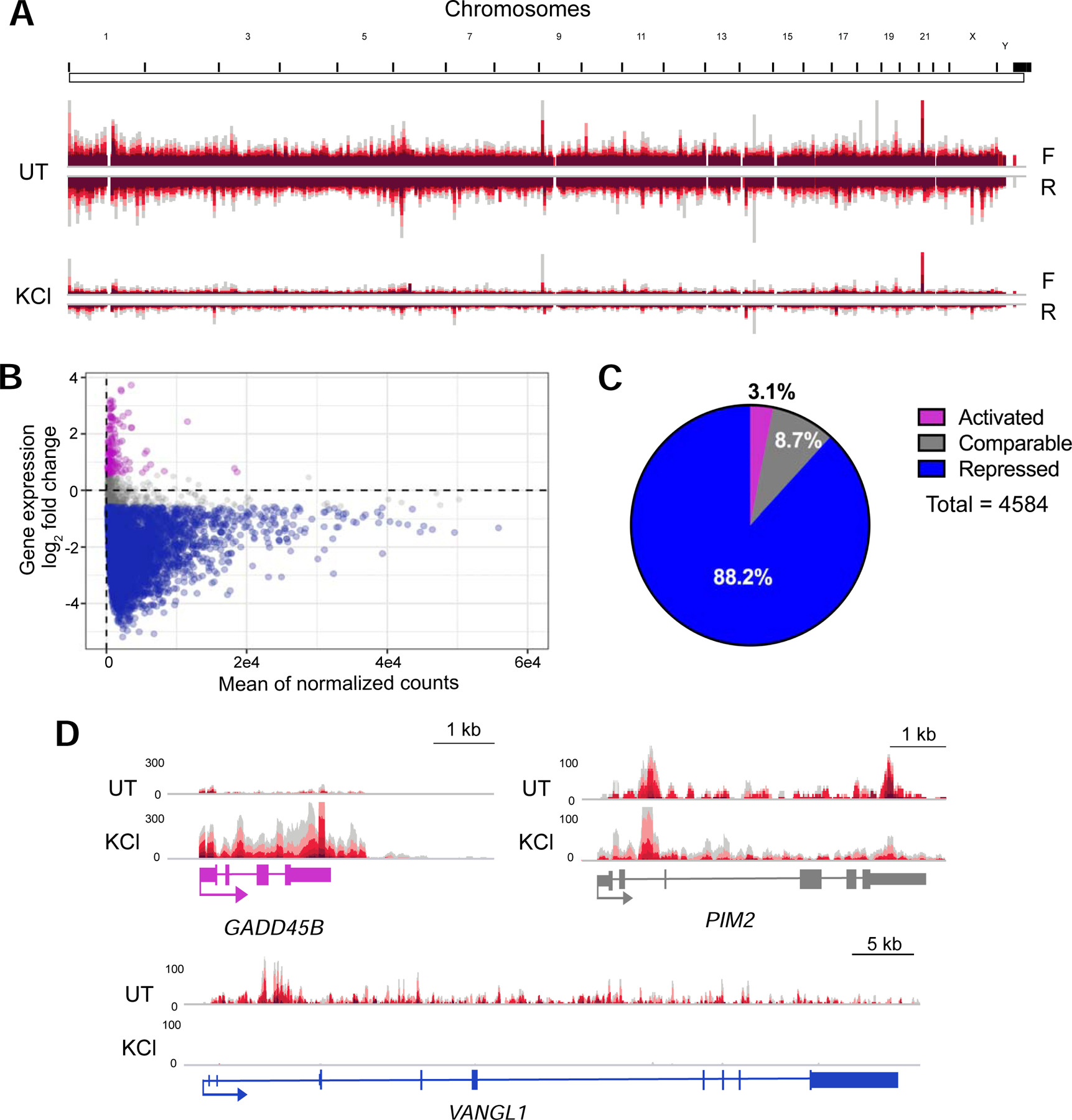 Figure 2: