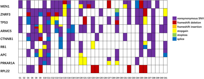 Fig. 2