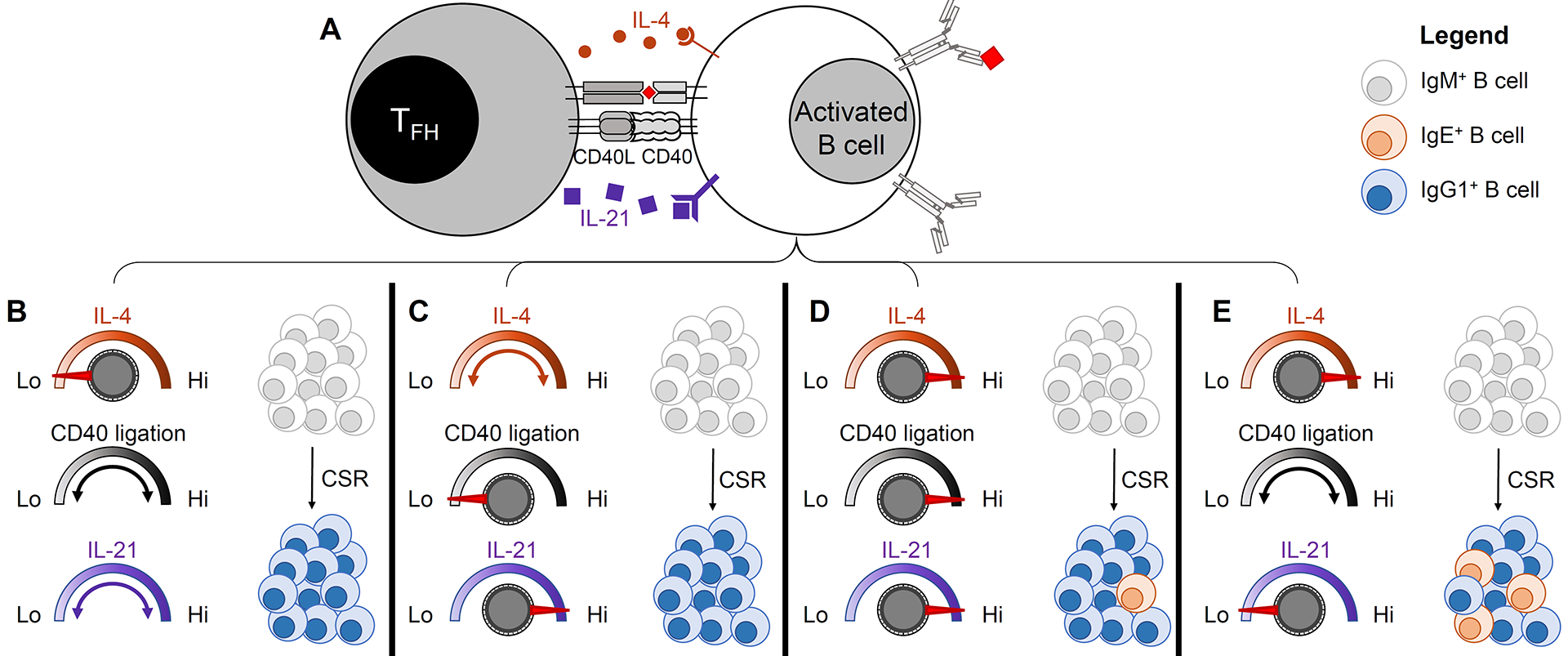 Figure 2: