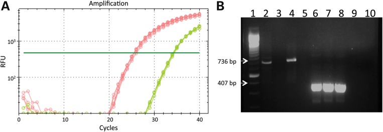 Figure 5.