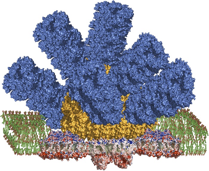 Fig. 1.