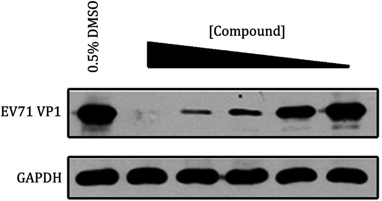 Fig. 5