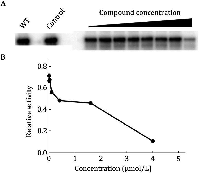 Fig. 9