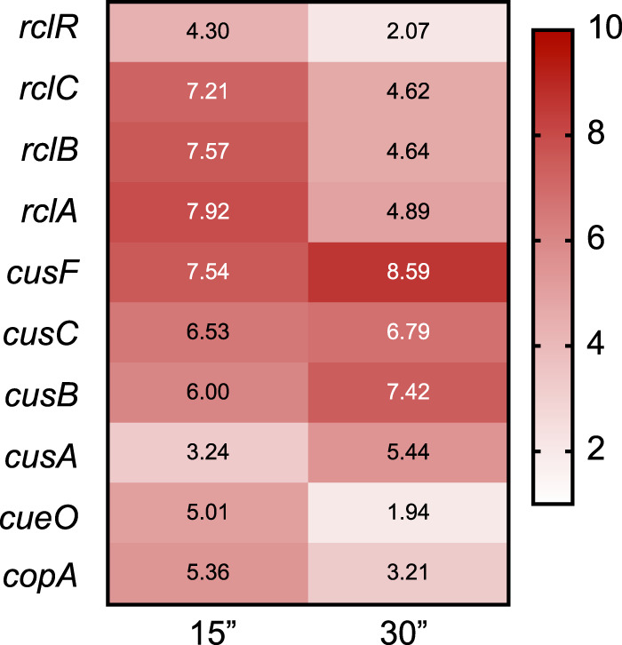 FIG 4