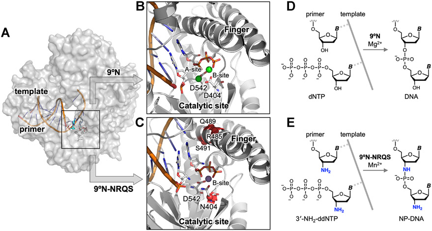 Figure 1.