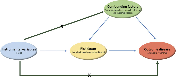 FIGURE 3