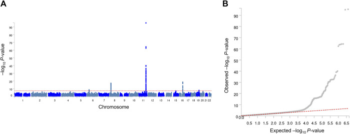 FIGURE 1