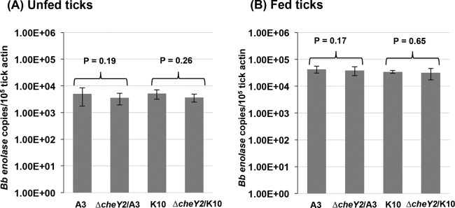 FIG 4