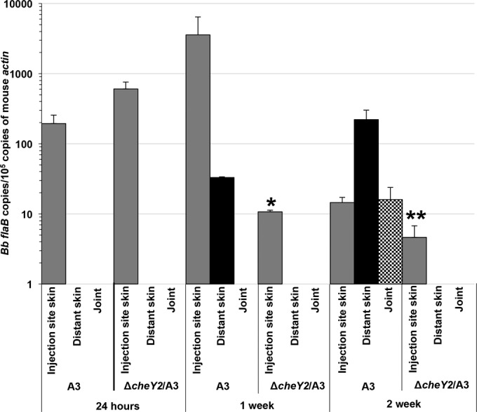 FIG 3