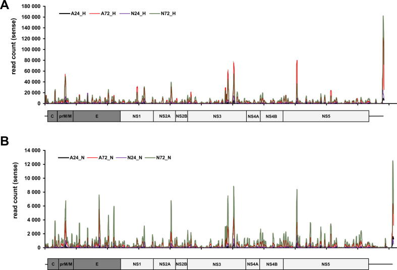 Supplementary figure 4