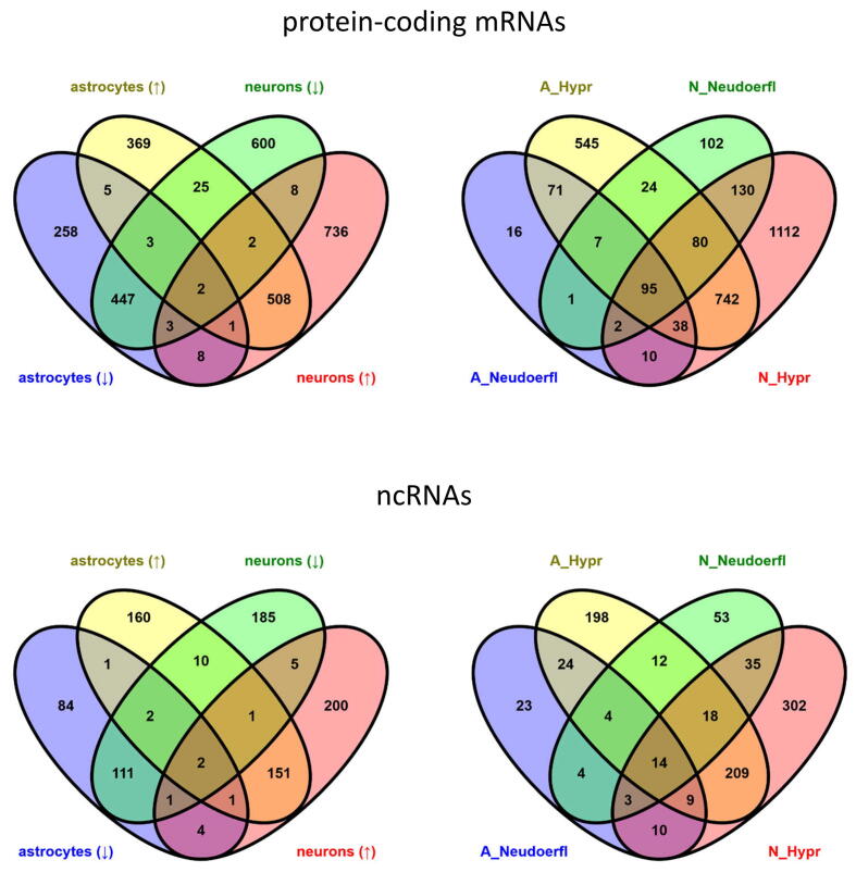 Supplementary figure 2