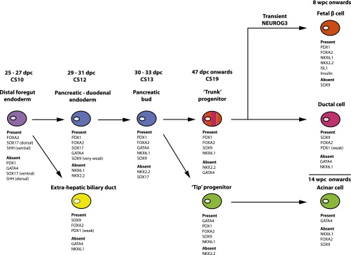 FIG. 7.