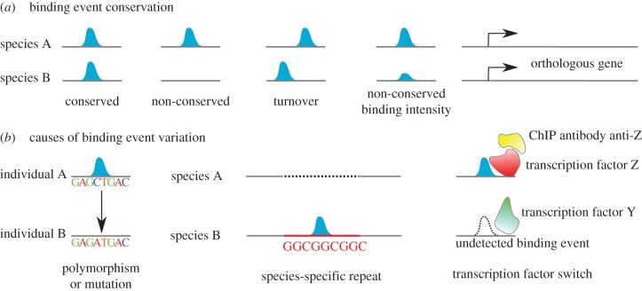 Figure 1.