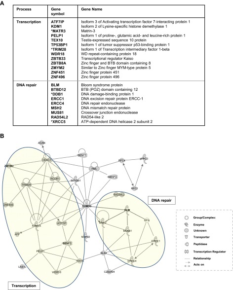 Fig. S2.