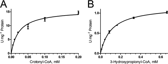 FIG 2