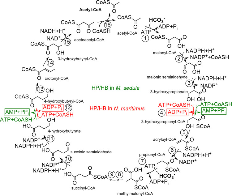 FIG 1