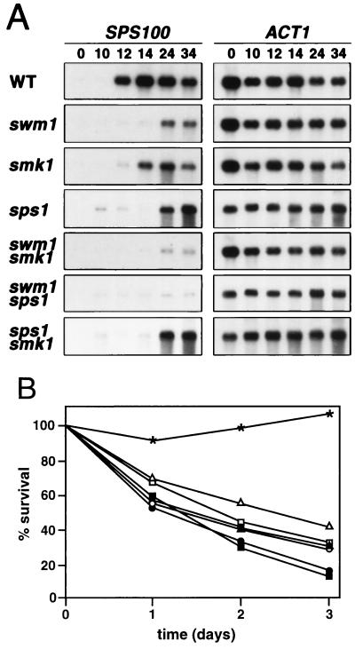 FIG. 10