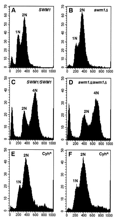 FIG. 6