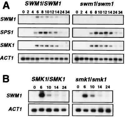 FIG. 9