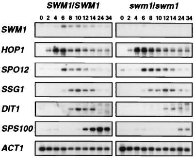 FIG. 8