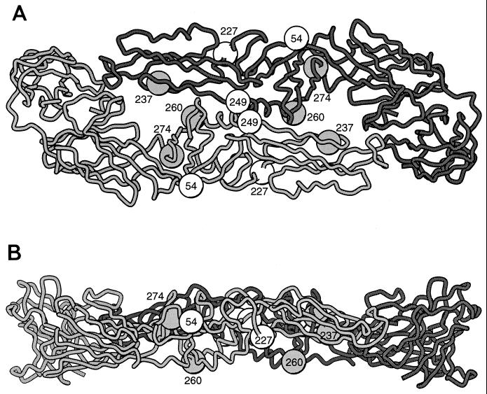 FIG. 1