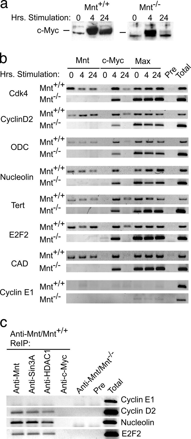 Figure 2.