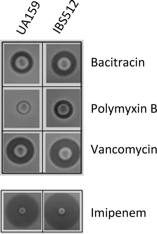 FIG. 5.