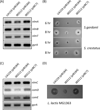 FIG. 4.