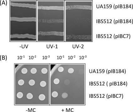 FIG. 6.