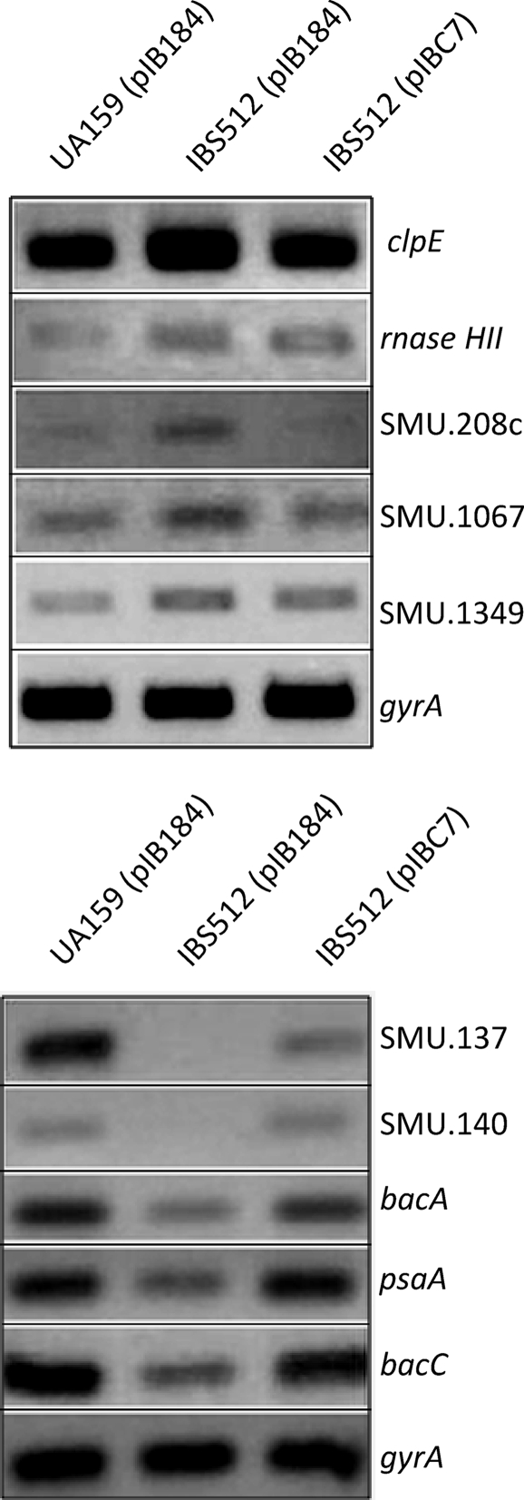 FIG. 2.