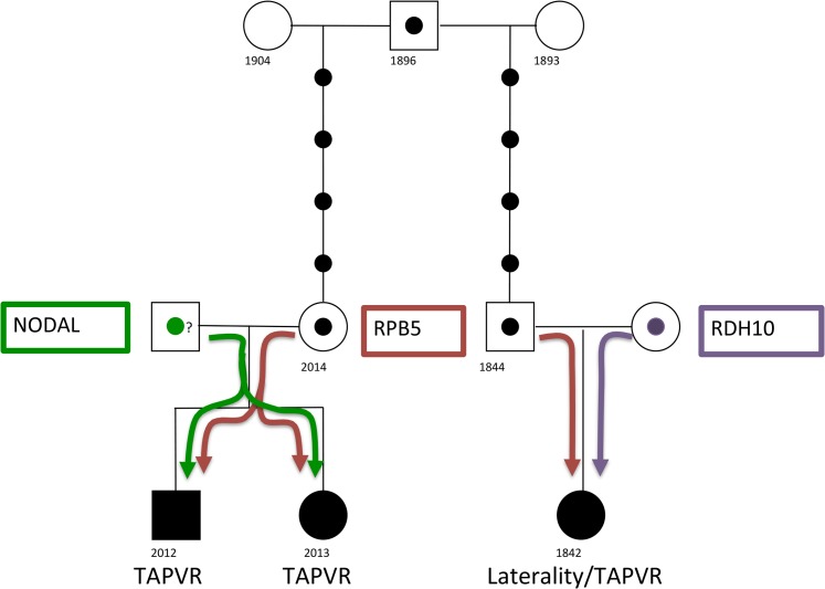 Fig 8