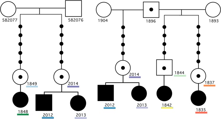 Fig 1