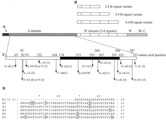 FIG. 1