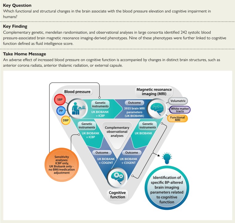 Structured Graphical Abstract